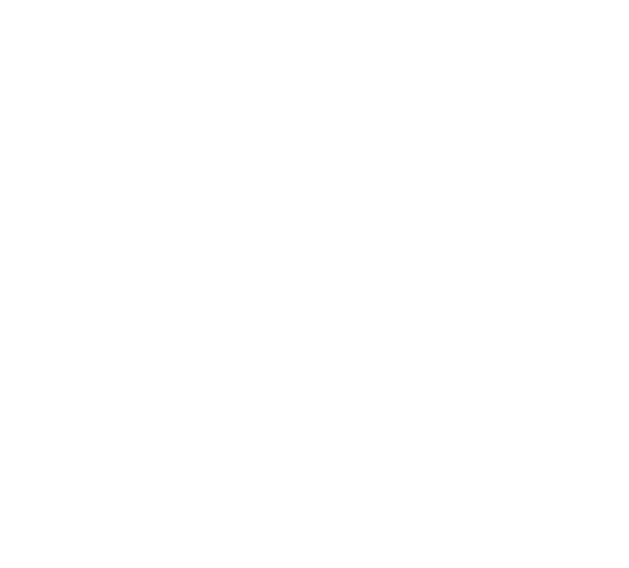 VNL